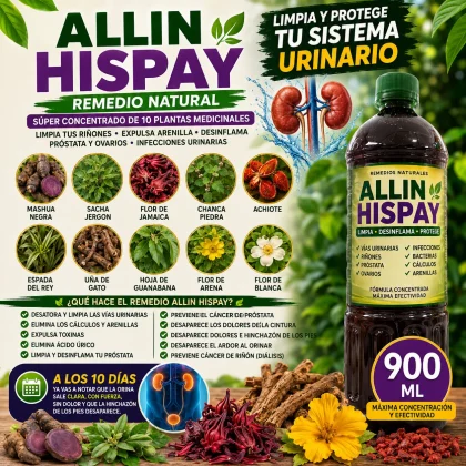 ALLIN HISPAY